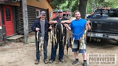 Pêche Doré chez Auberge Gatineau au Baskatong, Outaouais, Québec — photo 2