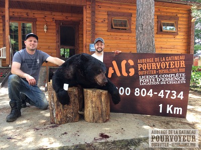 Chasse Ours noir chez Auberge Gatineau au Baskatong, Outaouais, Québec