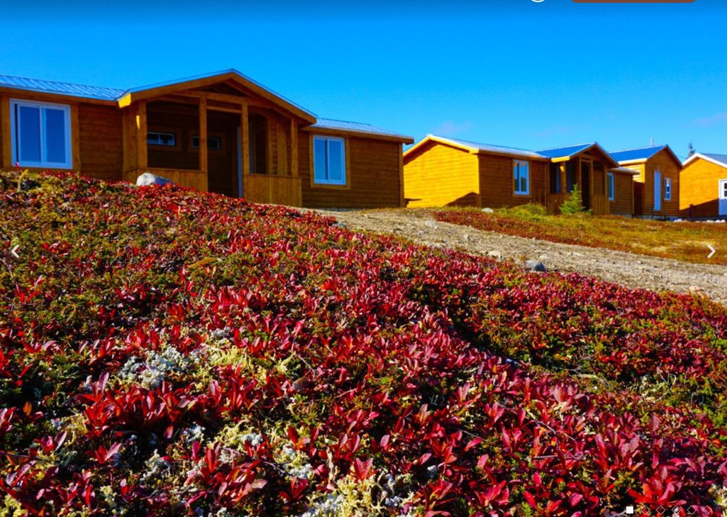Group Cabin – Auberge Wedge Hills Lodge - Circuits Péninsule d'Or