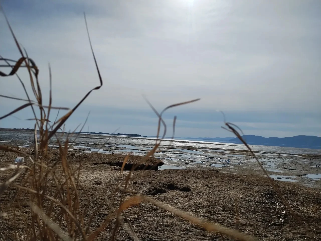 Fleuve Saint-Laurent – Auberge-Pourvoirie Isle-aux-Grues