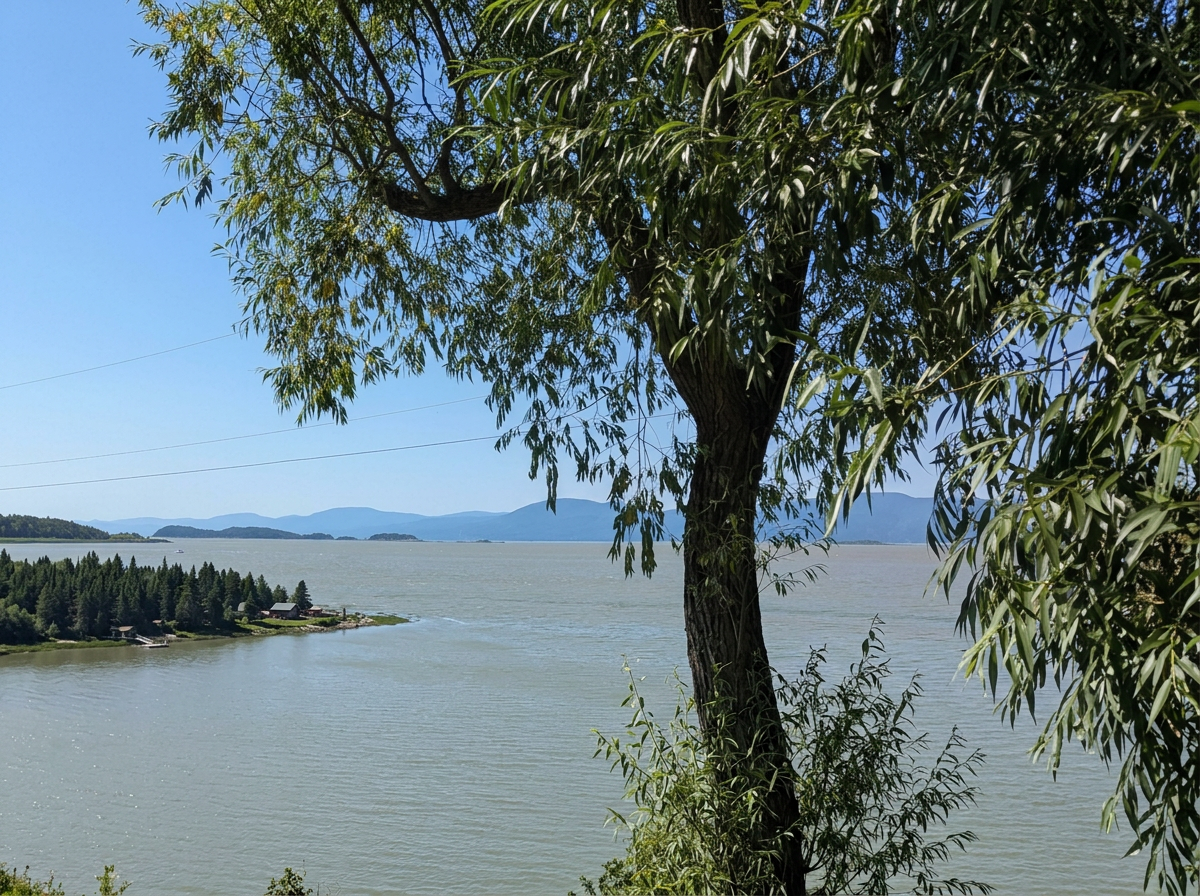 Photo of Auberge-Pourvoirie Isle-aux-Grues in Chaudière-Appalaches, QC