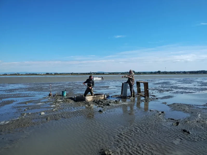 Hunting at Auberge-Pourvoirie Isle-aux-Grues, Chaudière-Appalaches, Quebec