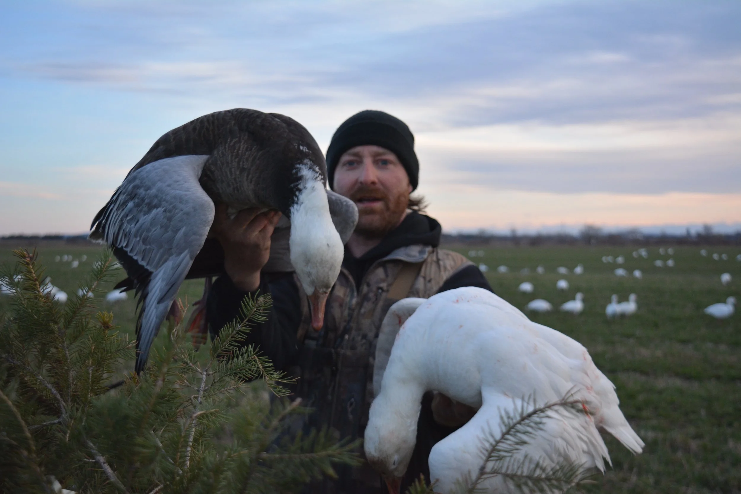 Photo of Chasse aux migrateurs Le Goose Shack in Saguenay–Lac-Saint-Jean, QC