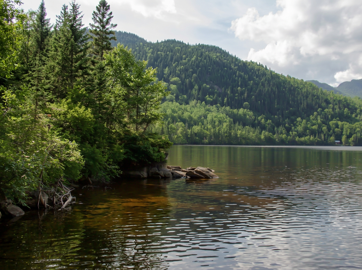 Photo de Domaine le Pic-Bois dans Charlevoix, Qc
