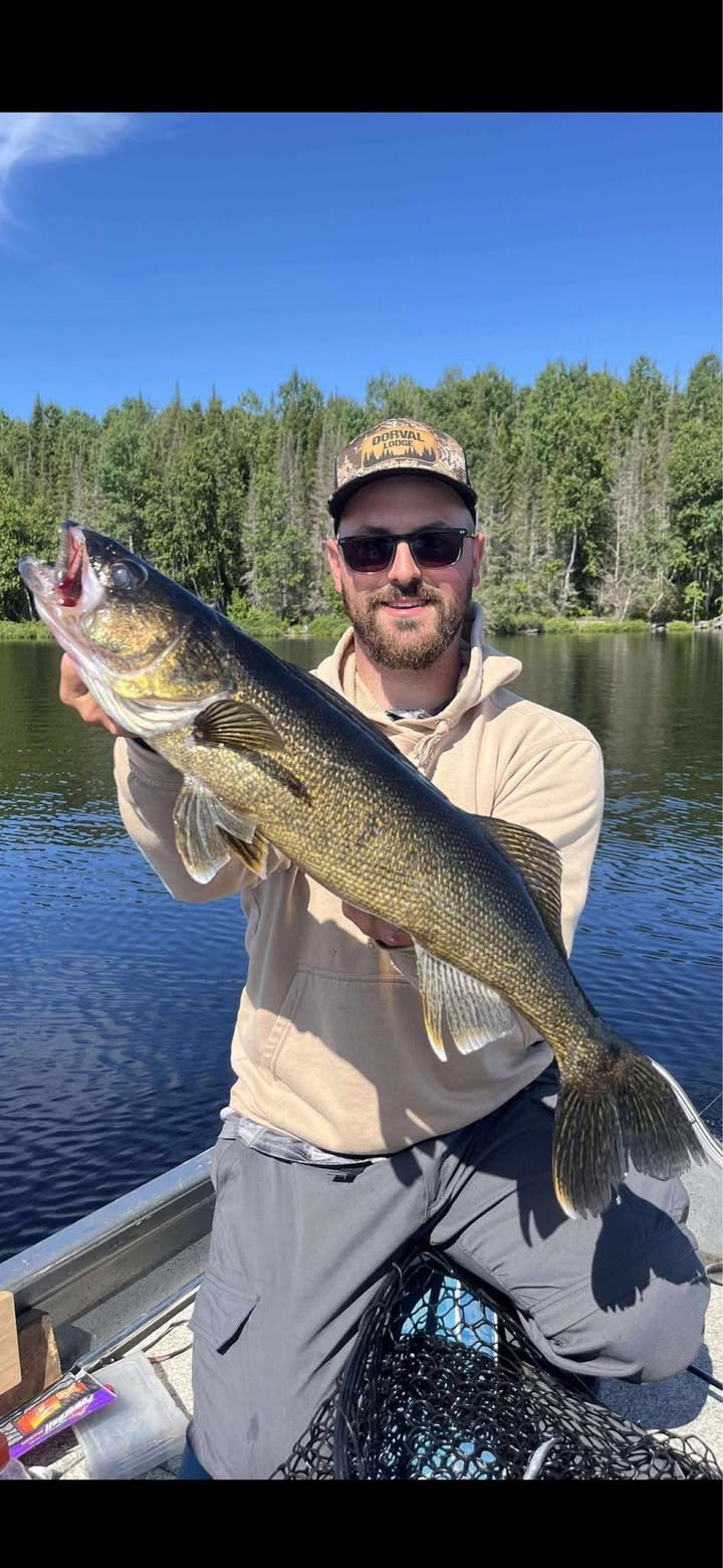 Pêche Doré chez Dorval Lodge, Abitibi-Témiscamingue, Québec — photo 2
