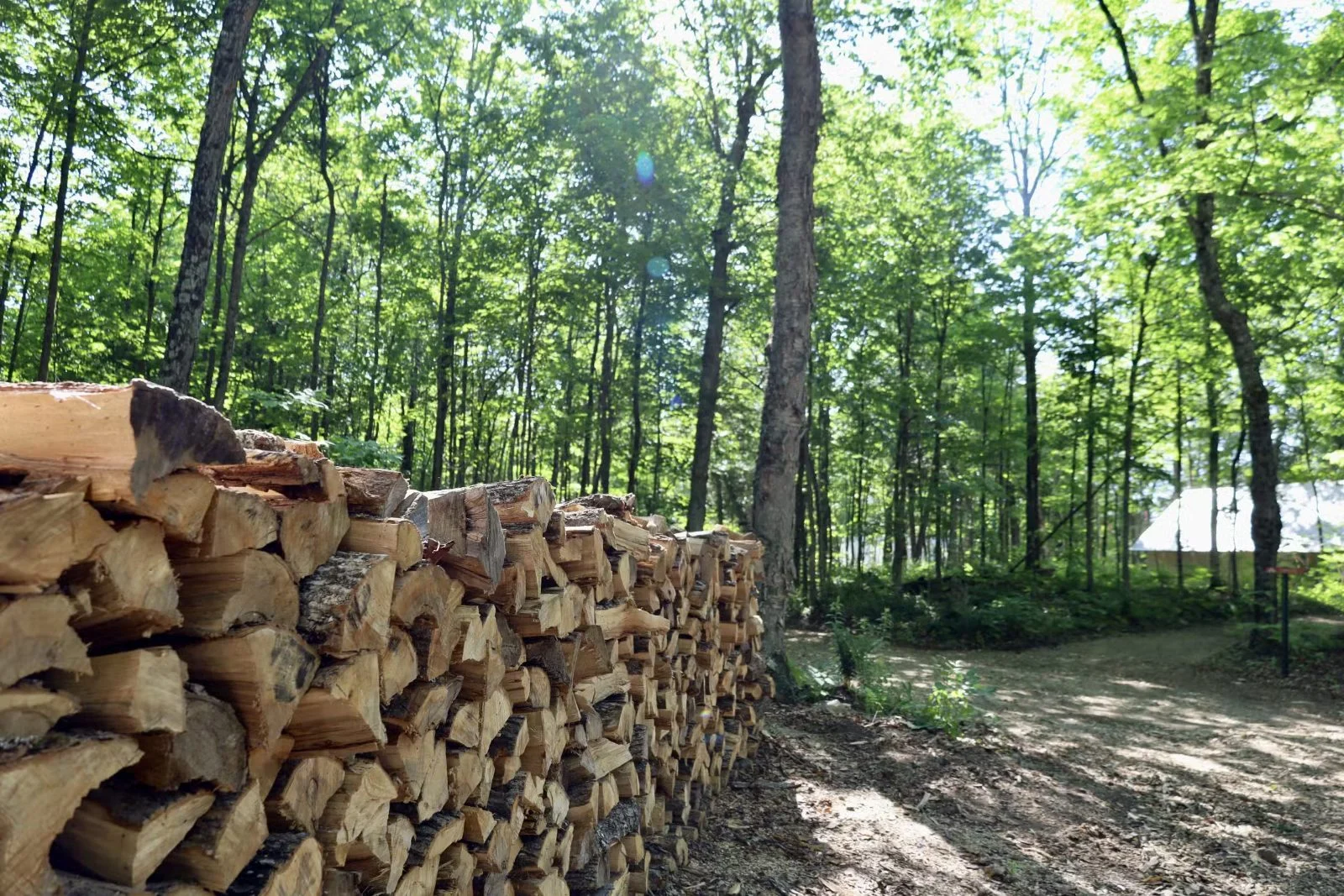 CHALET COYOTTE – Kenauk Nature
