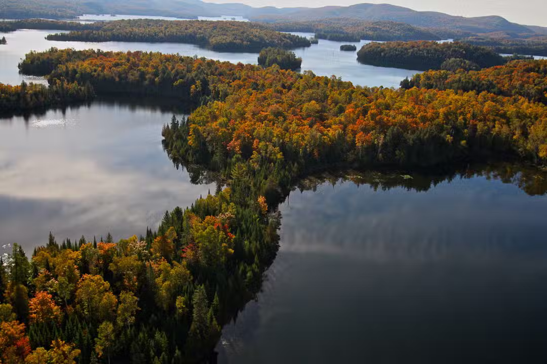 PUMPKINSEED CABIN – Kenauk Nature