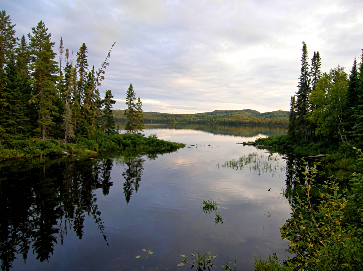 Photo of L'Auberge de la Rouge in Côte-Nord, QC