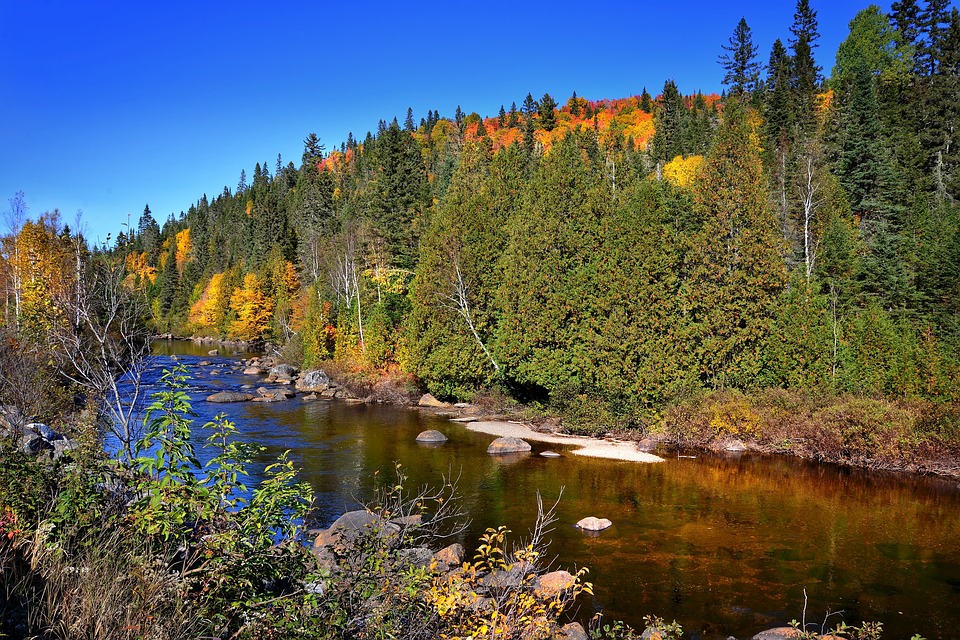 Photo of L'Aventure de l'Ours Noir Qc. in Saguenay–Lac-Saint-Jean, QC