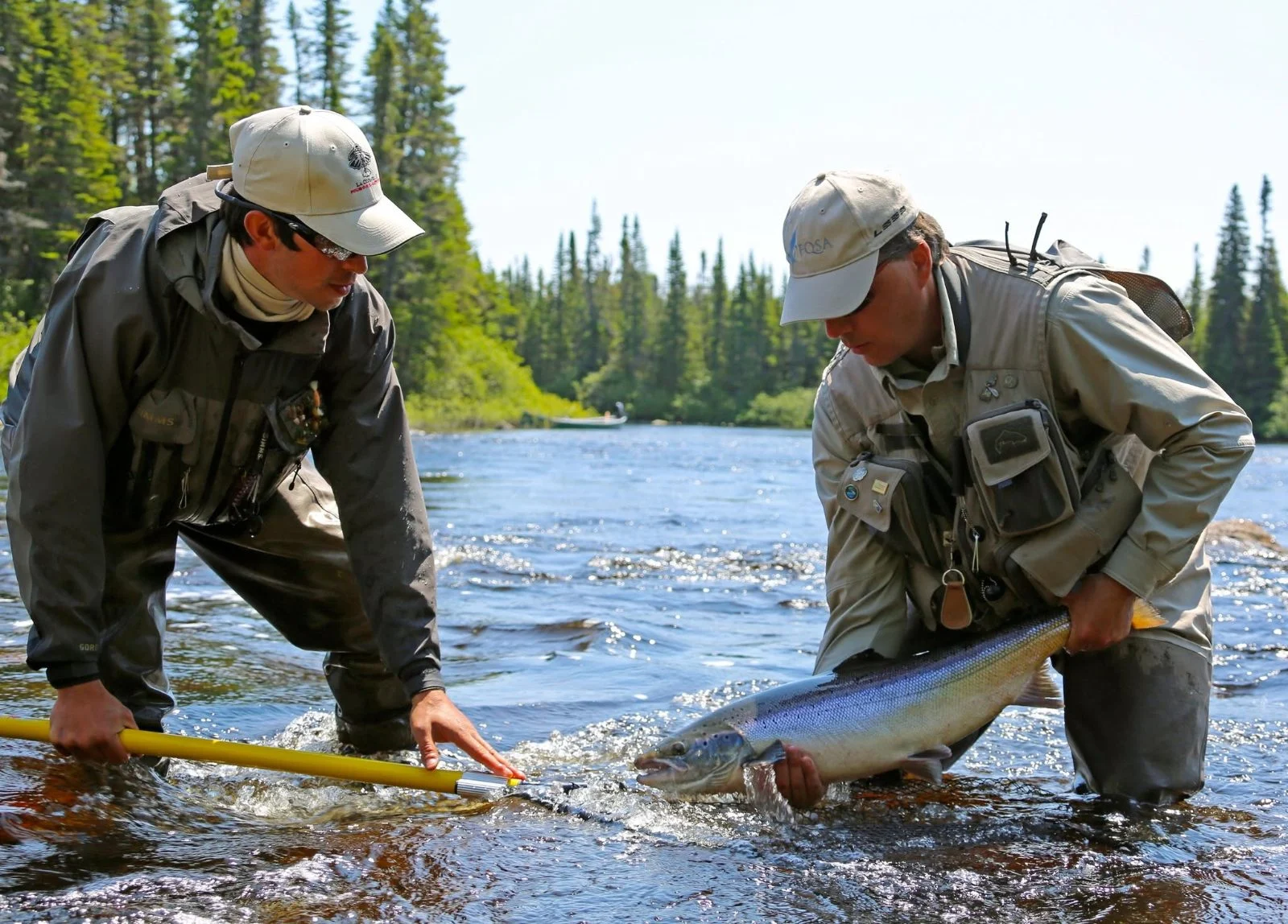 Pêche Ouananiche chez La Corneille, Côte-Nord, Québec