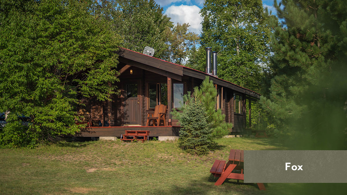 CAMP FOX – CAMP FOX
