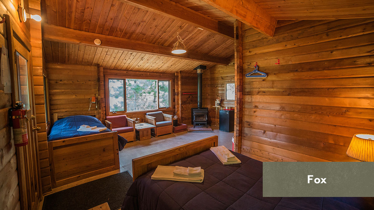 CAMP FOX — Réserve Beauchêne – Réserve Beauchêne