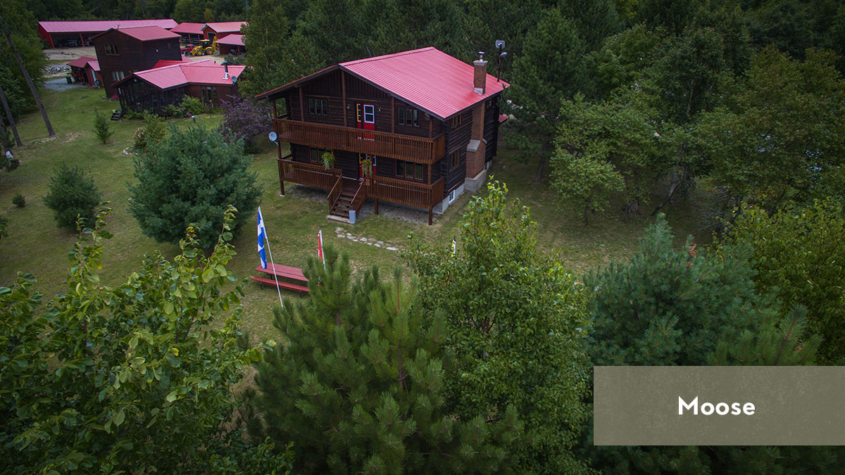 CHALET MOOSE – CHALET MOOSE
