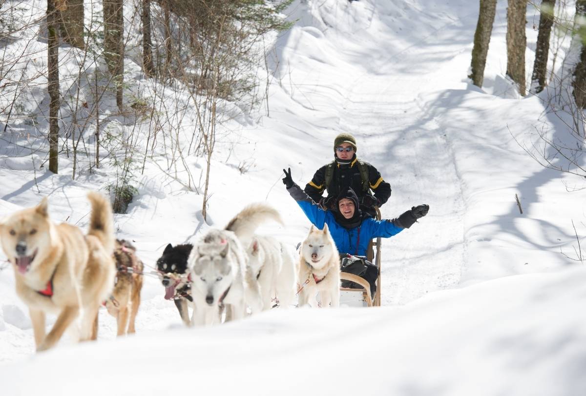 Excursion en traîneau à chiens chez Pourvoirie Club Hosanna, Mauricie, Québec
