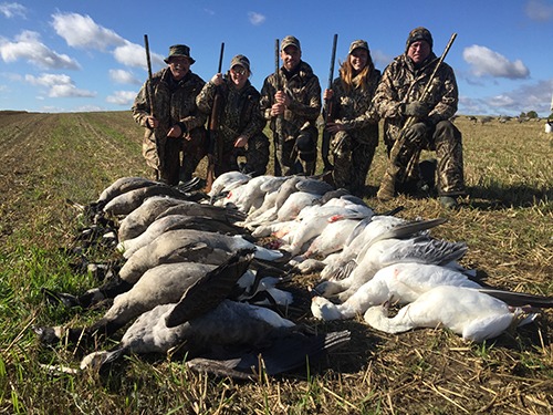 Hunting Snow goose at Pourvoirie Destination le Mirage, Centre-du-Québec, Quebec