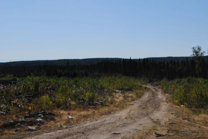 CHALET MORIN – Pourvoirie du Lac à l'Ours Blanc