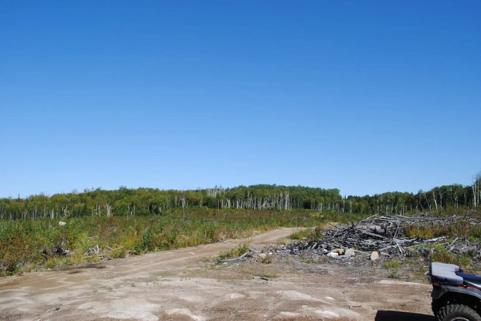 CHALET MORIN – Pourvoirie du Lac à l'Ours Blanc