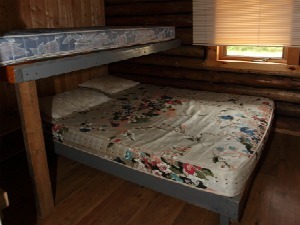 LE COUGAR CABIN – Pourvoirie Fer à Cheval