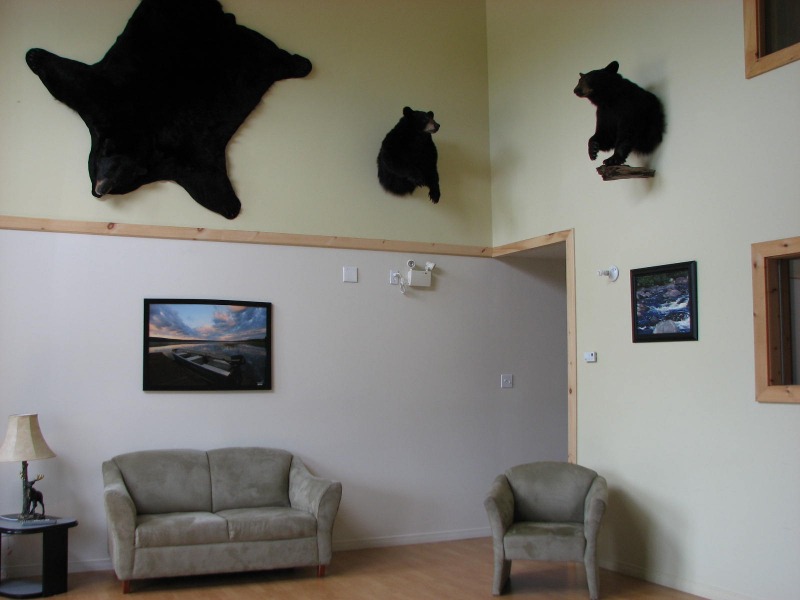 CONDO - SUITE DE L'OURS – Pourvoirie Fer à Cheval