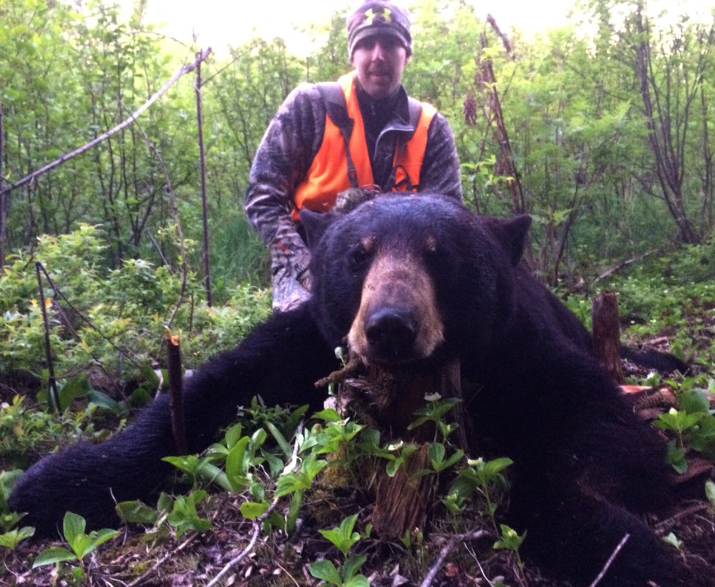 Hunting Black bear at Pourvoirie Fer à Cheval, Laurentides, Quebec — photo 4