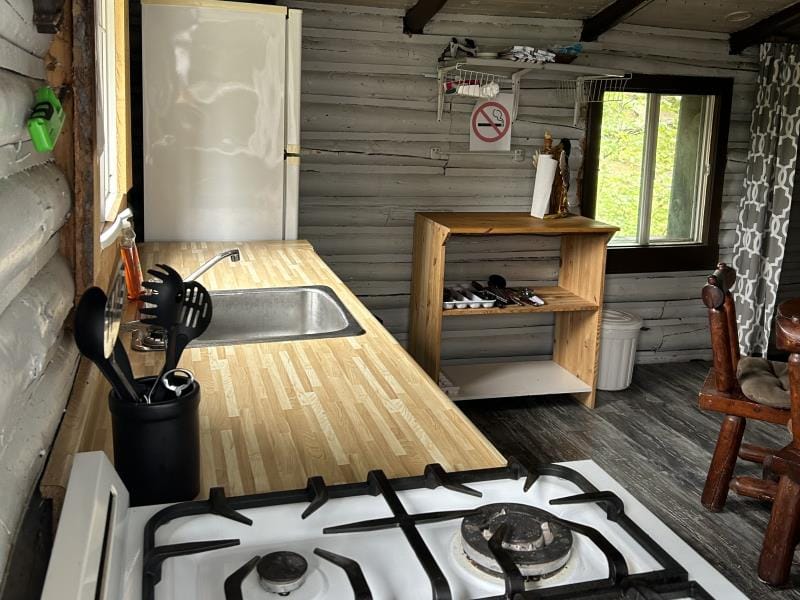 CHALET L'OURSON — Pourvoirie Homamo – Pourvoirie Homamo