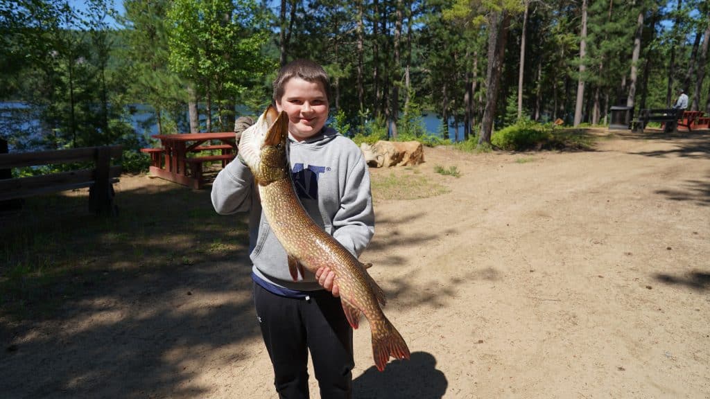 Pêche Brochet chez Pourvoirie J.E. Goyette, Mauricie, Québec