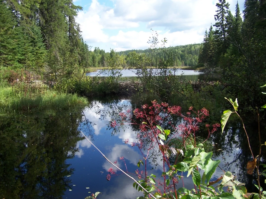 Photo souvenir chez Pourvoirie Lac Dumoulin, Mauricie, Québec