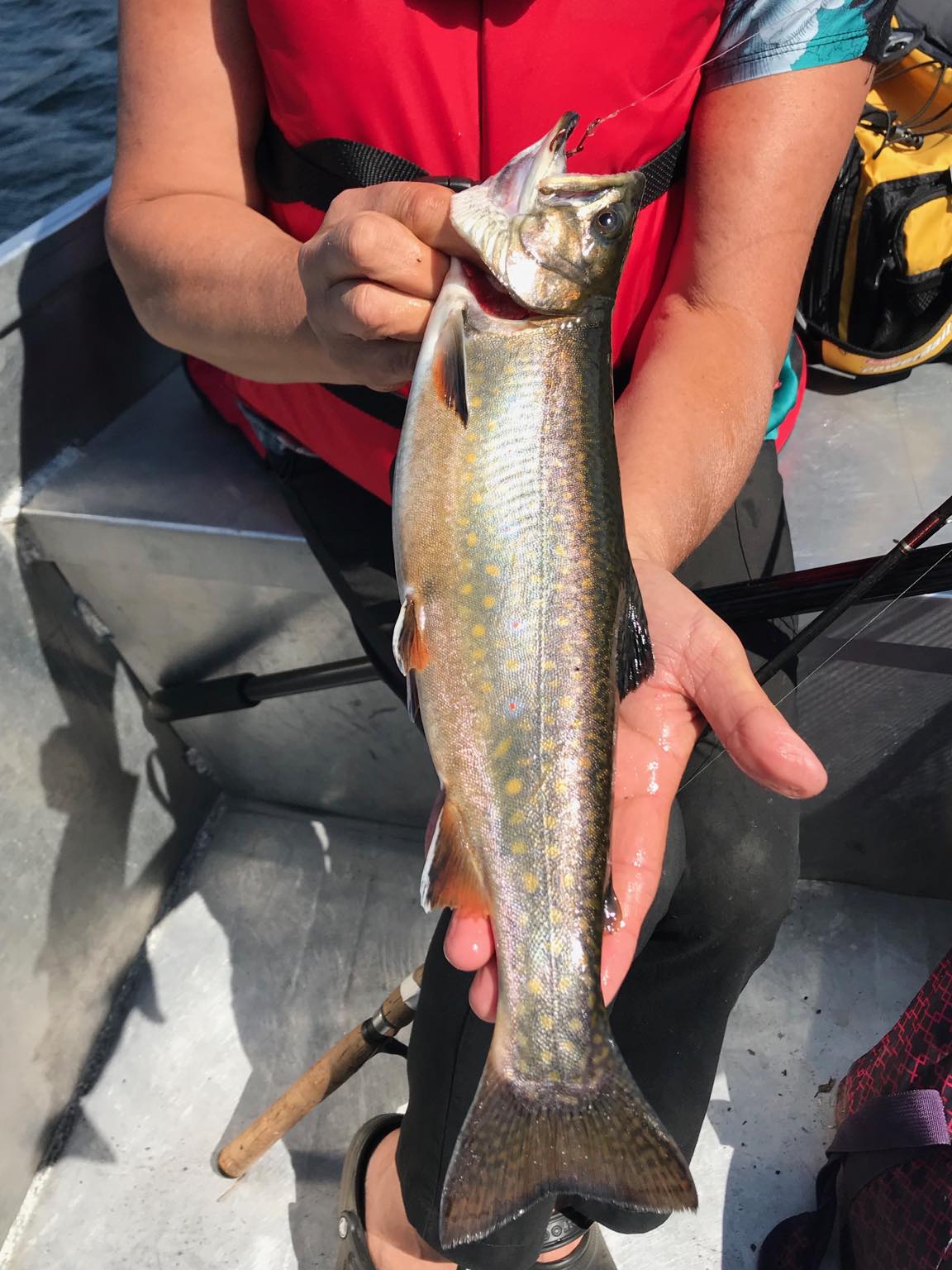 Anglers with a nice trout catch at Pourvoirie Lacs des Sables et Paradis, Côte-Nord, Quebec