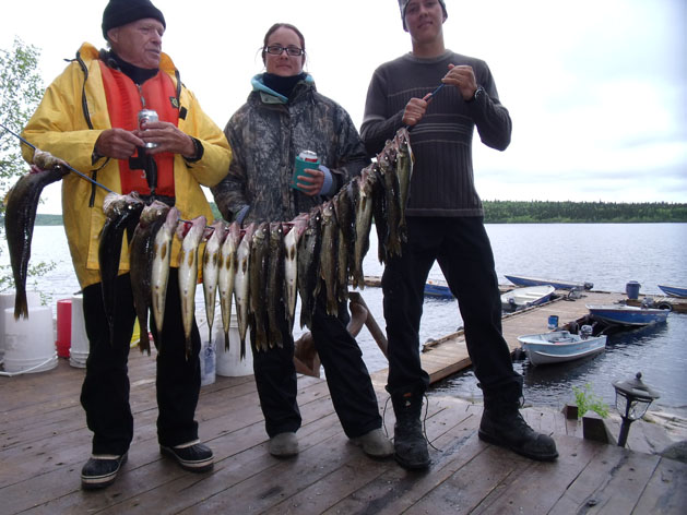 Pêche Doré chez Pourvoirie Némiscachingue, Laurentides, Québec — photo 2