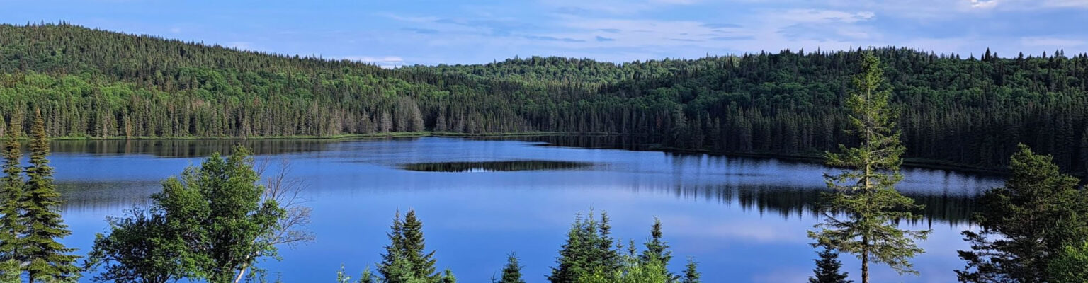 LAC DES LOUTRES CAMP – LAC DES LOUTRES CAMP