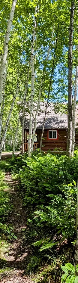 CHALET 2 — Domaine Sylva – Domaine Sylva