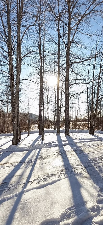 CHALET 4 — Domaine Sylva – Domaine Sylva