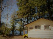 Cabin 1 – Nesting Eagle – Cabin 1 – Nesting Eagle