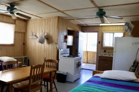 Chalets en bois rond — Big Canon Lake Lodge – Big Canon Lake Lodge