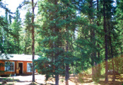 Shabu Lake Outpost – Jack Green’s Fly-In Camps