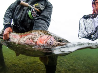 Rapids Camp Lodge – BC West