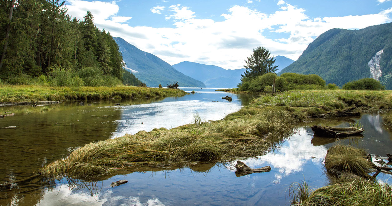 Photo of Blackfish Lodge in Vancouver Island, BC