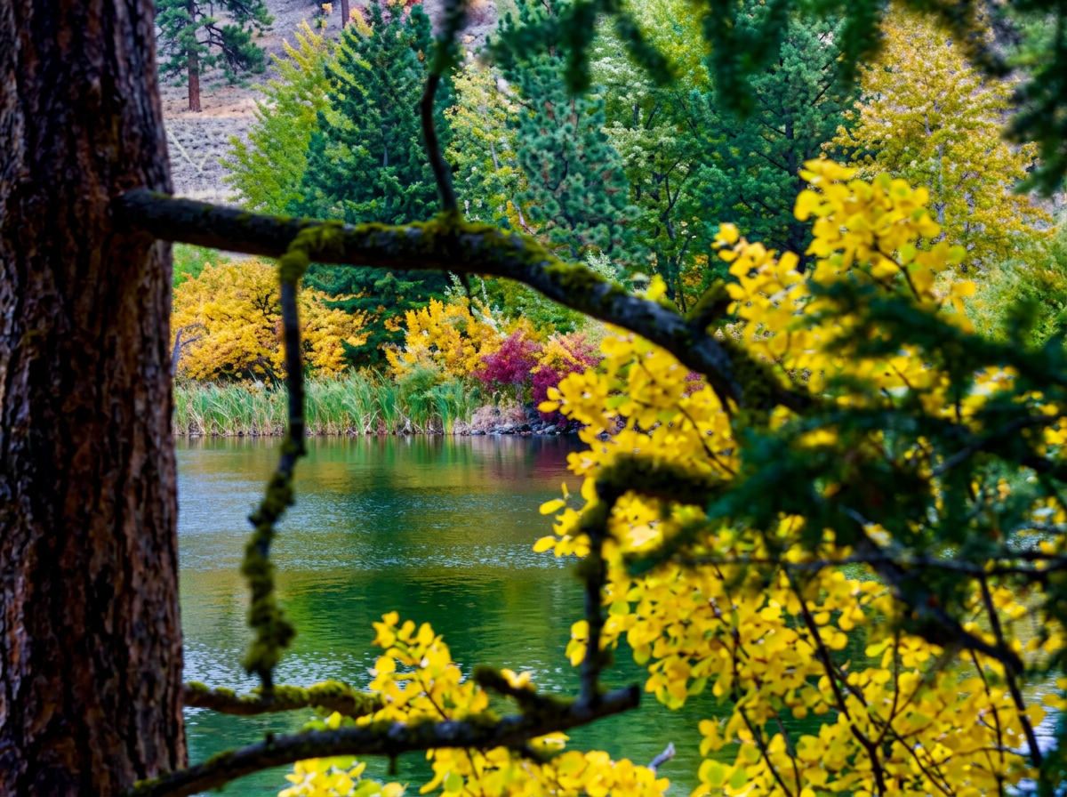 Photo de Corbett Lake Lodge dans les Thompson, Bc