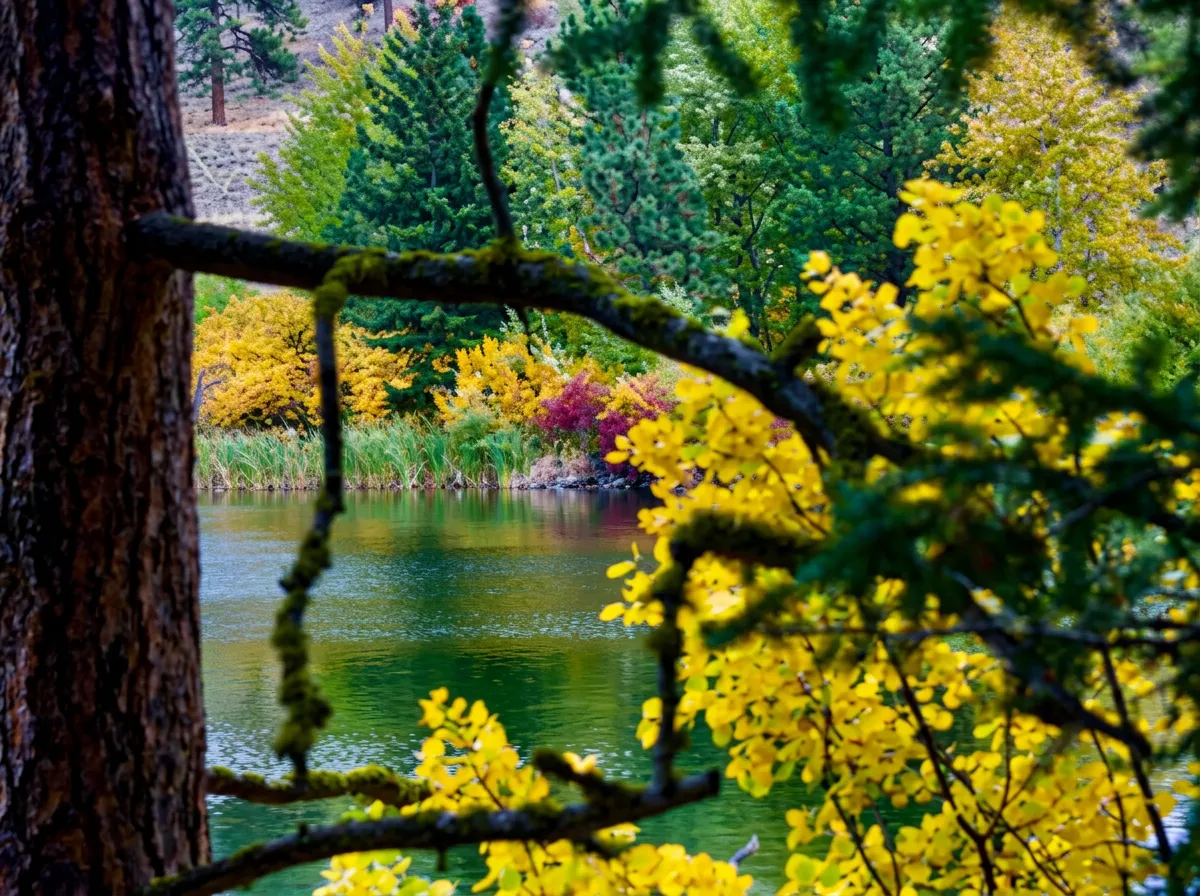 Photo de Corbett Lake Lodge dans les Thompson, Bc