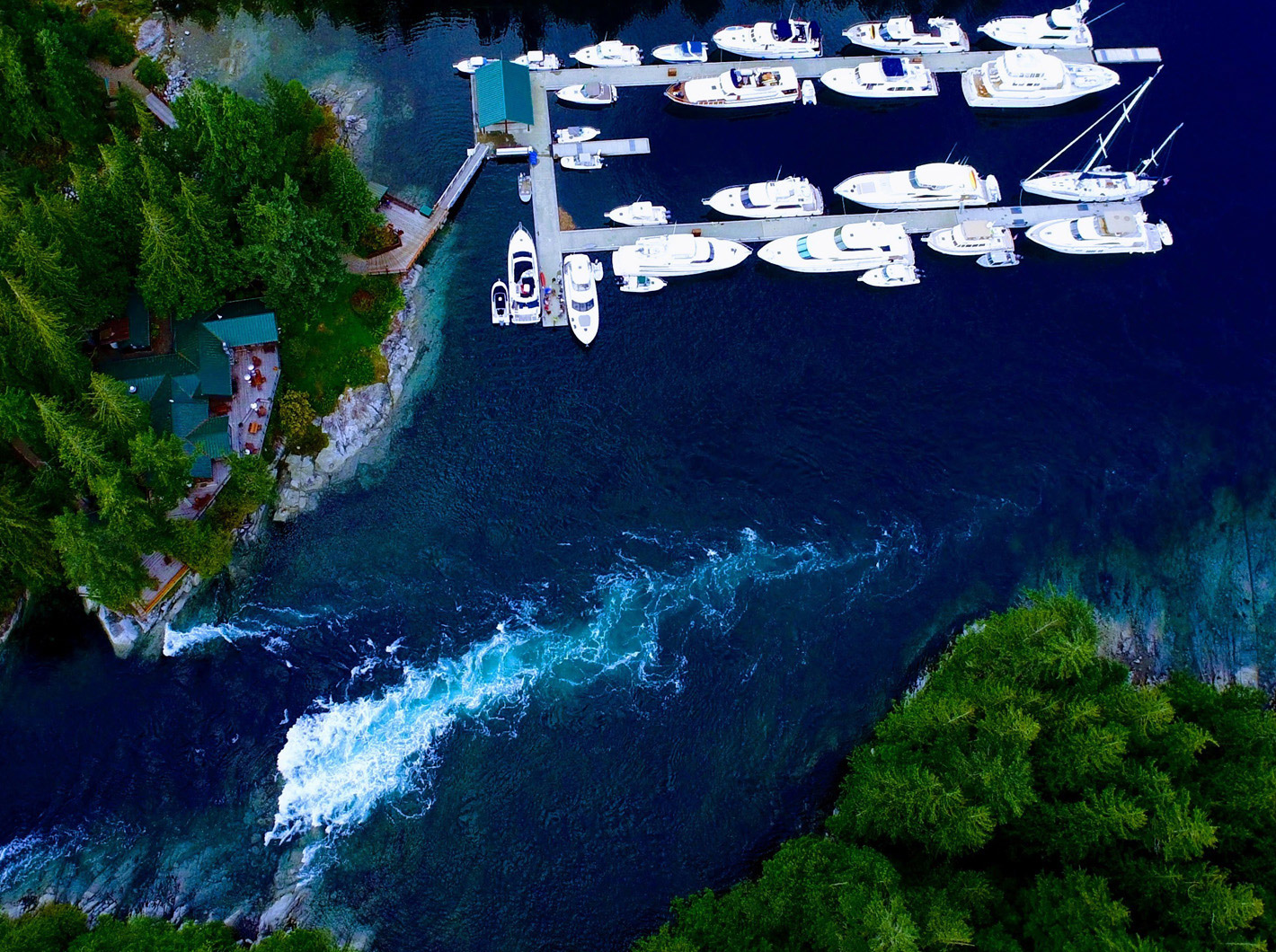 Photo of Dent Island Lodge in Vancouver Island, BC