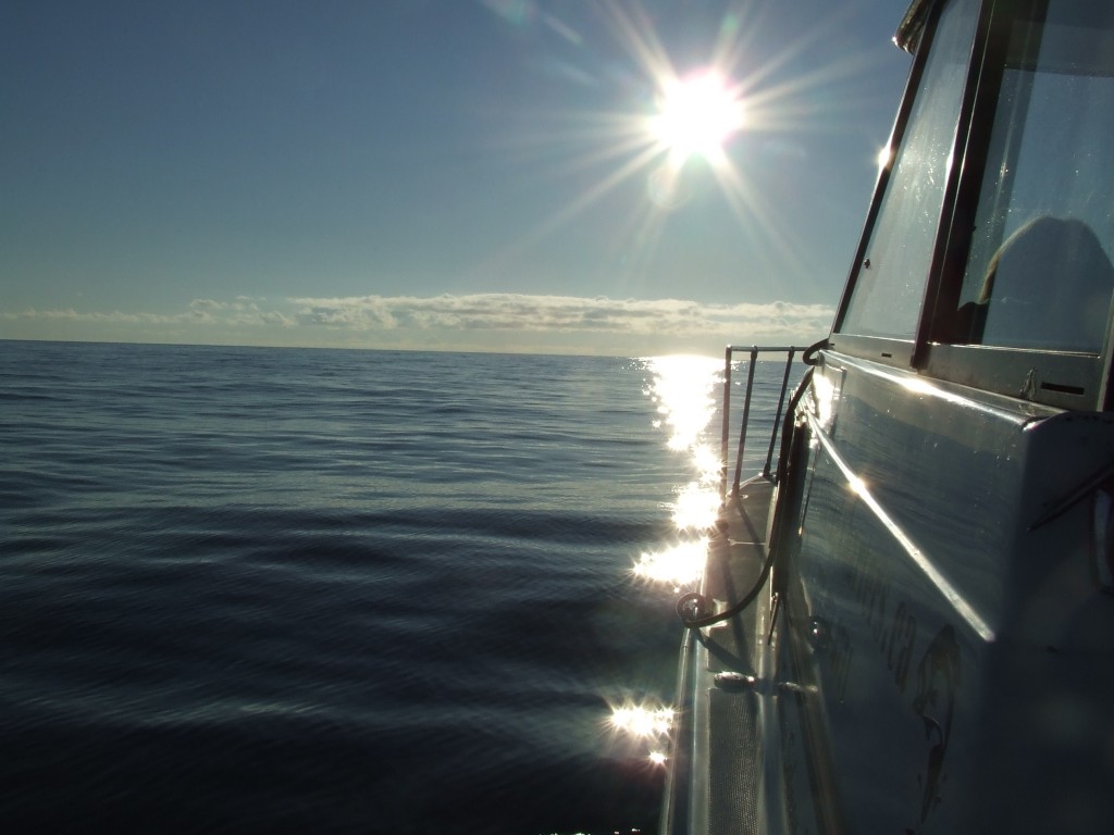 Photo of Pacific Rim Fishing Charters & Guest Lodge in Vancouver Island, BC