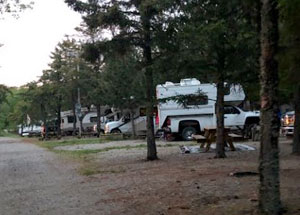 Emplacements de camping et VR — Pine Point Resort – Pine Point Resort