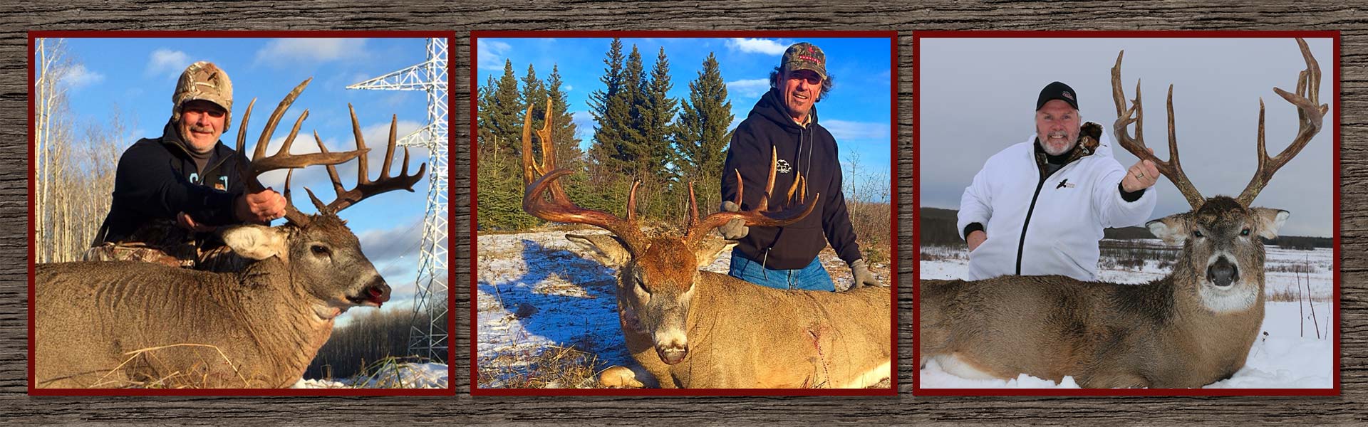 Auberge Nouveau lodge — Take-Em Outfitters – Take-Em Outfitters