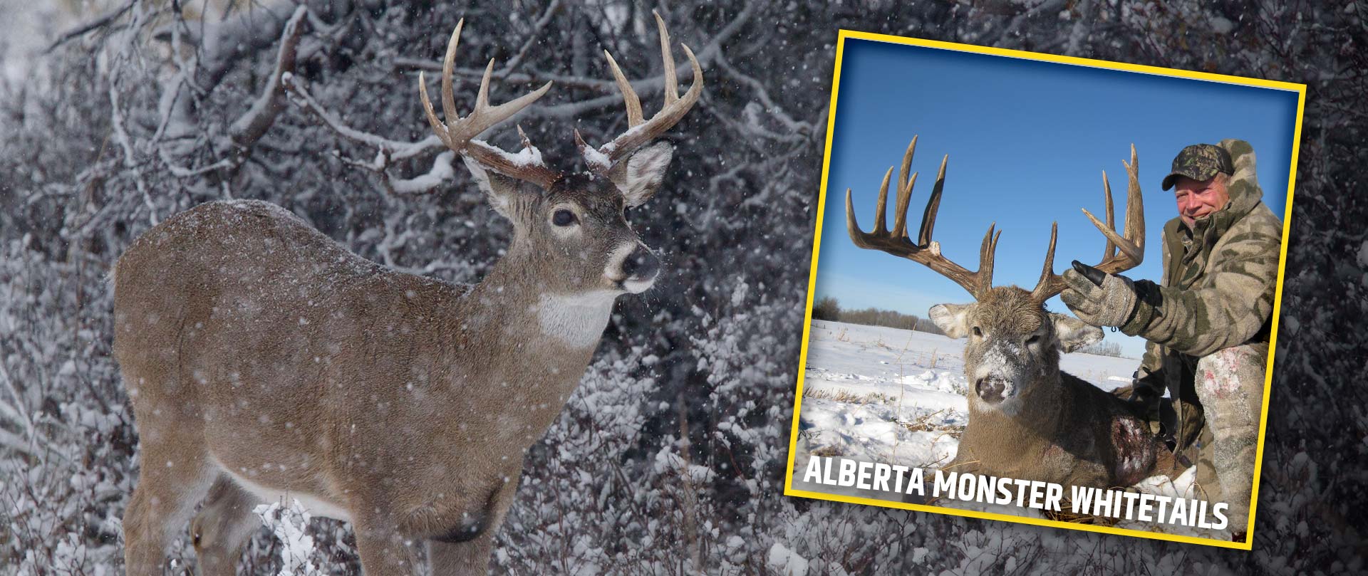 Photo of Double Diamond Wilderness Hunts Ltd. in Central Alberta, AB
