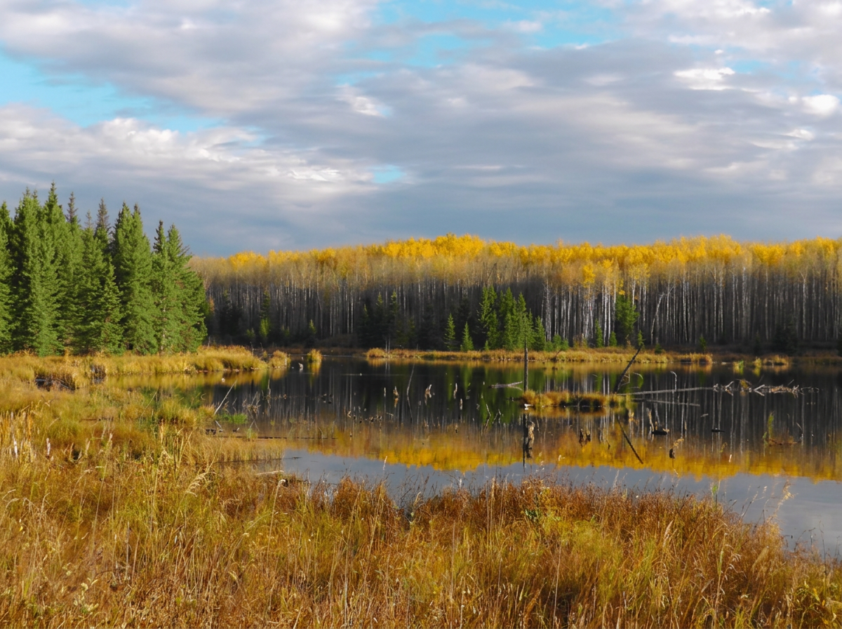 Photo of Albertas Little Mountain Guiding Service in Peace Country, AB