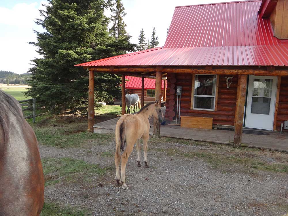 Hunter’s Cabin – Hunter’s Cabin