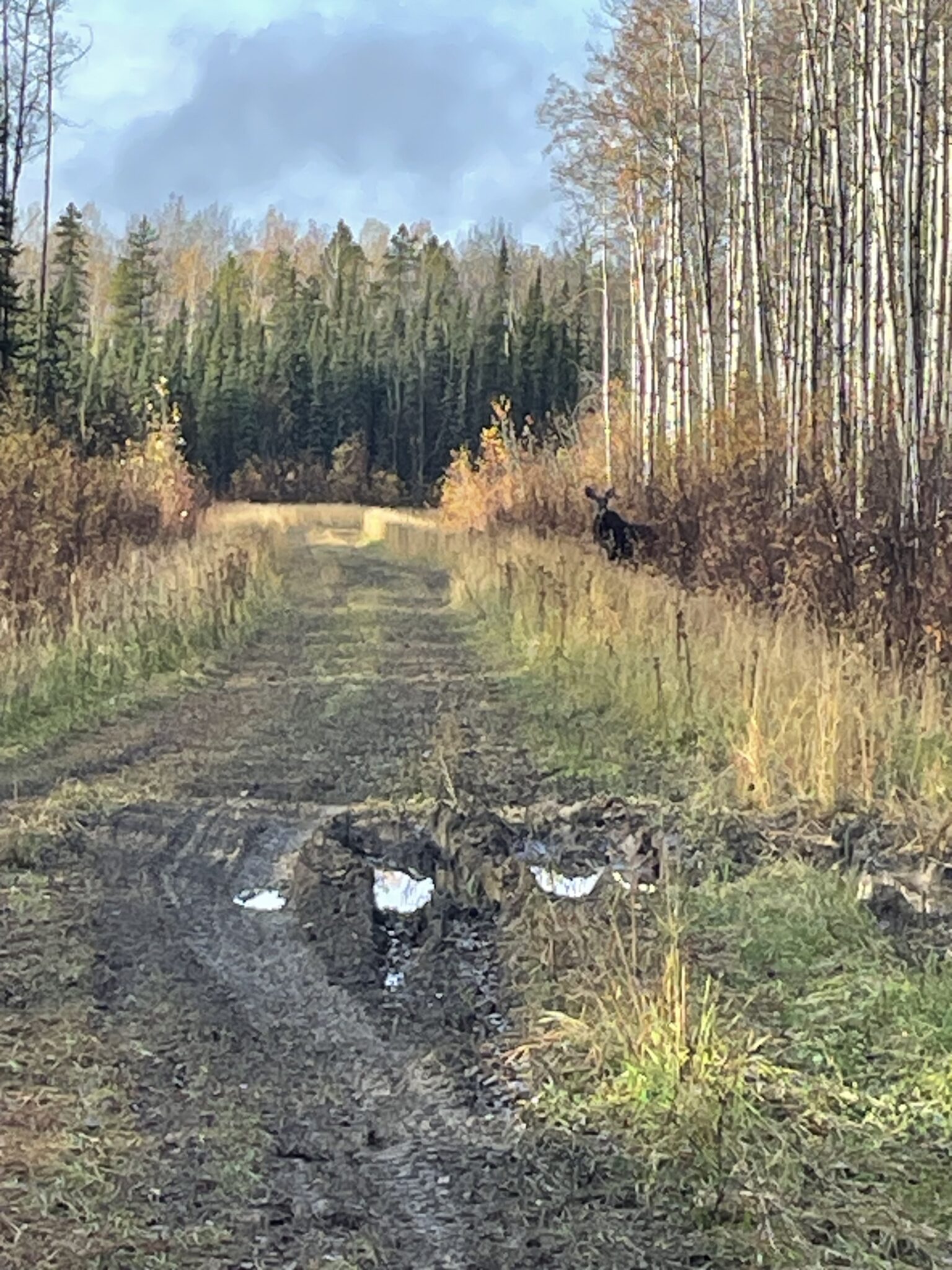 Camp Keg River — Chinchaga River Hunts – Chinchaga River Hunts