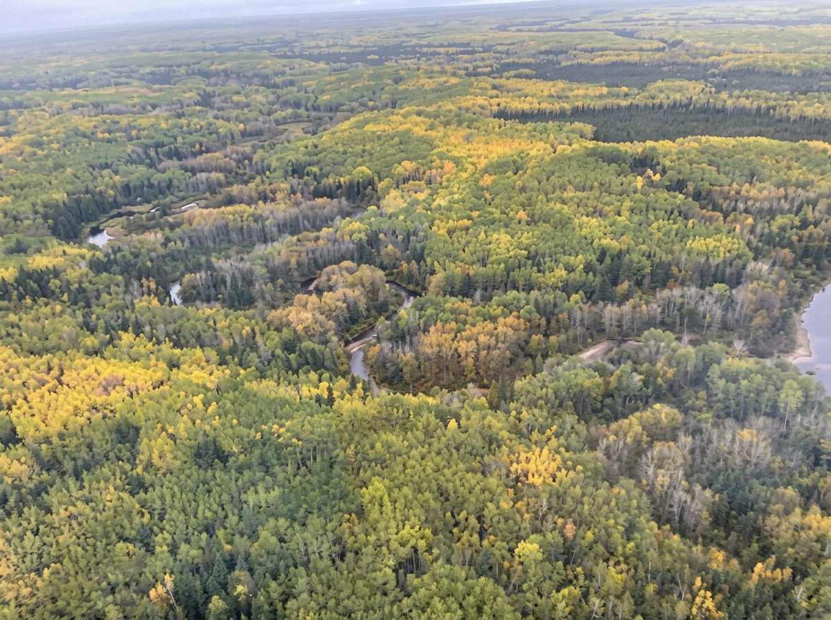 Photo of Chinchaga River Hunts in Peace Country, AB