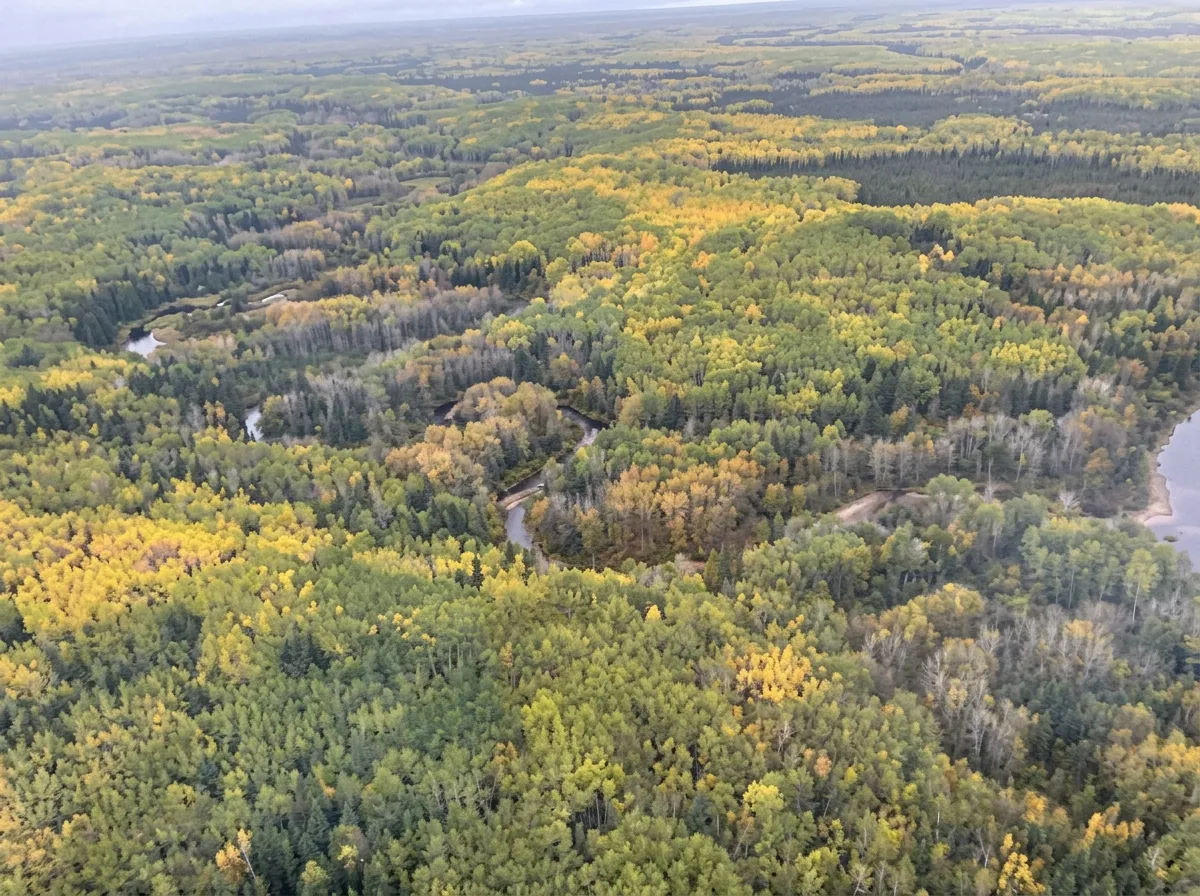 Photo de Chinchaga River Hunts dans la Région de la Peace, Ab
