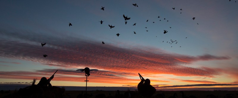 Photo de Dirty Lake Outfitters à Westman, Mb
